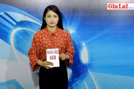 Gia Lai 48h: Phát triển doanh nghiệp: Để số lượng đi đôi với chất lượng