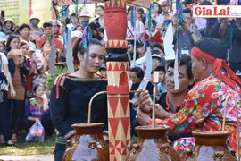 Người Ê Đê "Cúng cây nêu cầu an"