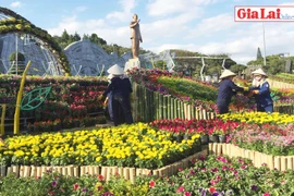 Pleiku: Tất bật hoàn thành đường hoa Xuân