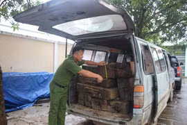 Chở gỗ lậu bị phát hiện,tài xế bỏ xe ôtô gắn biển giả tháo chạy