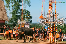 Tây Nguyên, nơi tôi đã sống