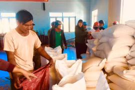 Mang Yang cấp hỗ trợ hơn 50tấn gạo cứu đói Tết Nguyên đán Kỷ Hợi