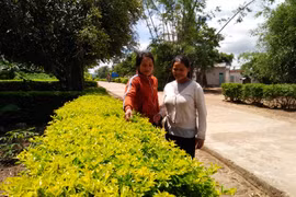 Phụ nữ chung tay trồng hoa làm đẹp cho đời