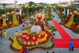 Ba điểm chụp ảnh hoa xuân ngày giáp Tết ở TP HCM