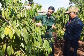 Giúp chi bộ thôn, làng nâng cao năng lực lãnh đạo