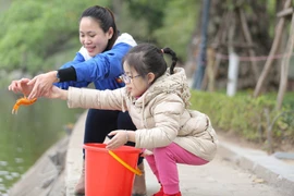 Thả cá chép ngày ông Công ông Táo thế nào cho ý nghĩa, linh thiêng?