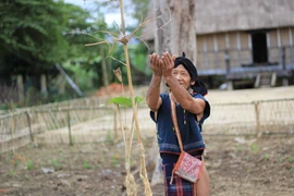 Lễ cúng đầu năm của người Bahnar