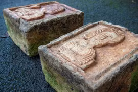 Tảng đá chỏng chơ ngoài vườn là báu vật trị giá 3 tỷ đồng