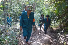 Chư Pah: Nhiều giải pháp quản lý, bảo vệ rừng