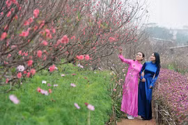 Khách Philippines chia sẻ 'bí kíp sinh tồn' khi tới Việt Nam dịp Tết