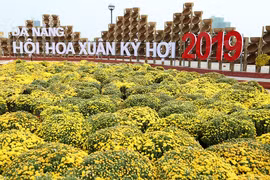 Cầu Vàng xuất hiện trên đường hoa Tết bên sông Hàn