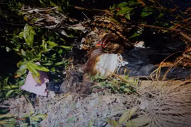 Kon Tum: Hoảng hồn phát hiện thi thể người đàn ông trong rẫy cao su