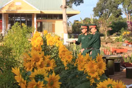 Lữ đoàn Tăng Thiết giáp 273 tổ chức hội thi vườn hoa xuân