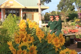 Lữ đoàn Tăng Thiết giáp 273 tổ chức hội thi vườn hoa xuân