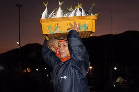 Nữ phu cá trên cảng Cửa Sót