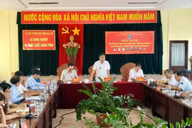 Gia Lai: 446 cơ sở sản xuất kinh doanh vật tư nông nghiệp bị phạt hơn 1,5 tỷ đồng