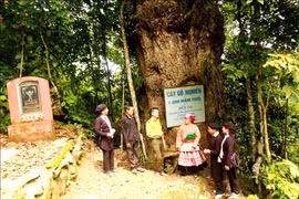 Trở lại "ốc đảo" Cốc Ly