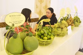 Ngày 12-8, tổ chức Hội thi sản phẩm nông nghiệp tiêu biểu tỉnh Gia Lai