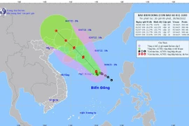 Bão số 1 (CHABA) đã mạnh lên; 4 tỉnh thành còn có tàu cá hoạt động trong vùng nguy hiểm