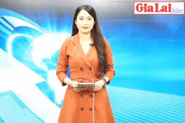 Gia Lai 48h: Kiểm tra vi phạm trong mua sắm thiết bị phục vụ phòng-chống dịch Covid-19