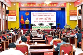 Nhiều báo cáo về triển khai nhiệm vụ phát triển kinh tế-xã hội trình bày tại kỳ họp