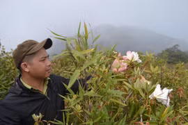 "Chạm mặt" Ngọc Linh