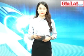 Gia Lai 48h: Có 163 ổ dịch sốt xuất huyết đang hoạt động