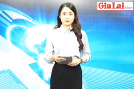 Gia Lai 48h: Có 163 ổ dịch sốt xuất huyết đang hoạt động