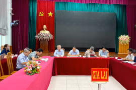 Tỷ lệ giải ngân vốn ODA của Gia Lai đạt hơn 30%