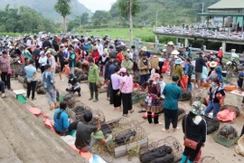 Độc đáo chợ phiên San Thàng đậm nét văn hóa của người Giáy, Mông