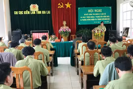 Gia Lai: 6 tháng đầu năm không để xảy ra cháy rừng