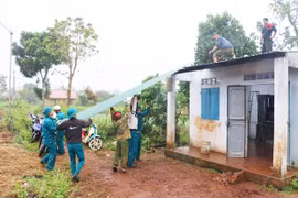 Gia Lai chủ động phương án trợ giúp xã hội, khắc phục hậu quả thiên tai