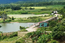 Ủy ban nhân dân tỉnh Gia Lai trả lời cử tri về việc bố trí kinh phí xây dựng cầu Đak Pơ Kơ và hỗ trợ triển khai sắp xếp dân cư xã Ia Sol