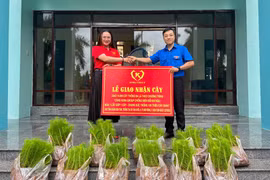 Tỉnh đoàn Kon Tum tiếp nhận 10.000 cây thông ba lá