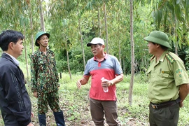 Giai đoạn 2017-2021, huyện Chư Prông trồng hơn 680 ha rừng
