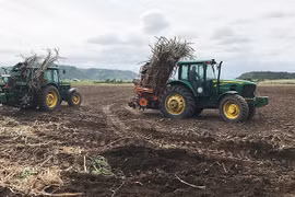 Phát triển vùng nguyên liệu mía: Tạo đột phá từ khoa học kỹ thuật và nguồn giống