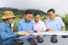 Giai đoạn 2017-2021, huyện Kbang xảy ra 616 vụ vi phạm Luật Lâm nghiệp