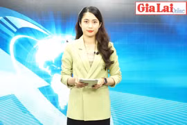 Gia Lai 48h: Phấn đấu tăng ít nhất 5 bậc trên bảng xếp hạng PCI 2022