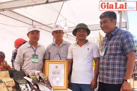 Chợ phiên kết nối nông sản địa phương