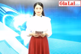 Gia Lai 48h: Ra mắt Ban Chỉ đạo phòng-chống tham nhũng, tiêu cực tỉnh