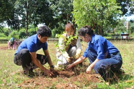 Tuổi trẻ Chư Păh xung kích, năng động vì cộng đồng