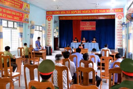 Tuyên phạt đối tượng người Gia Lai 66 tháng tù về tội "Vi phạm quy định về khai thác, bảo vệ rừng và lâm sản"