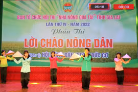 Gia Lai: 170 thí sinh tham gia Hội thi "Nhà nông đua tài"