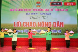 Gia Lai: 170 thí sinh tham gia Hội thi "Nhà nông đua tài"
