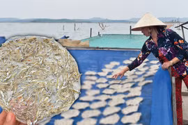 Món ngon từ cá sông Gia Lai