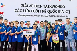 16 võ sĩ Gia Lai tranh tài ở Giải vô địch Taekwondo các lứa tuổi trẻ quốc gia