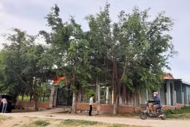 Chuyện thú vị về vị tiền hiền họ Phan ở Krông Pa