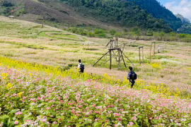 Phát triển du lịch ở Vân Hồ