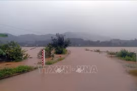 Kiểm tra công tác phòng, chống thiên tai tại tỉnh Kon Tum