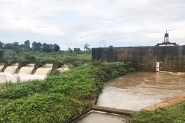 Gia Lai: Mực nước tại các công trình thủy lợi tăng